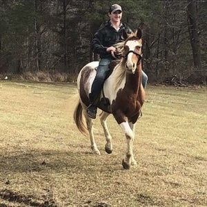 Meet your Posher, John